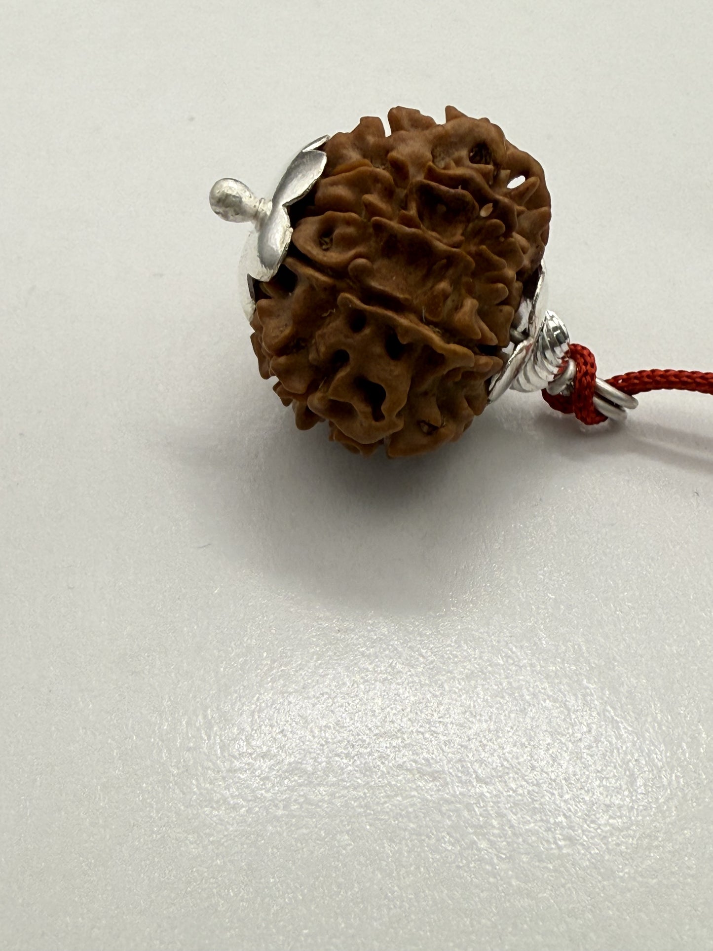 10 Mukhi Natural Rudraksha (Nepal Origin): 18-21mm with Silver Capping