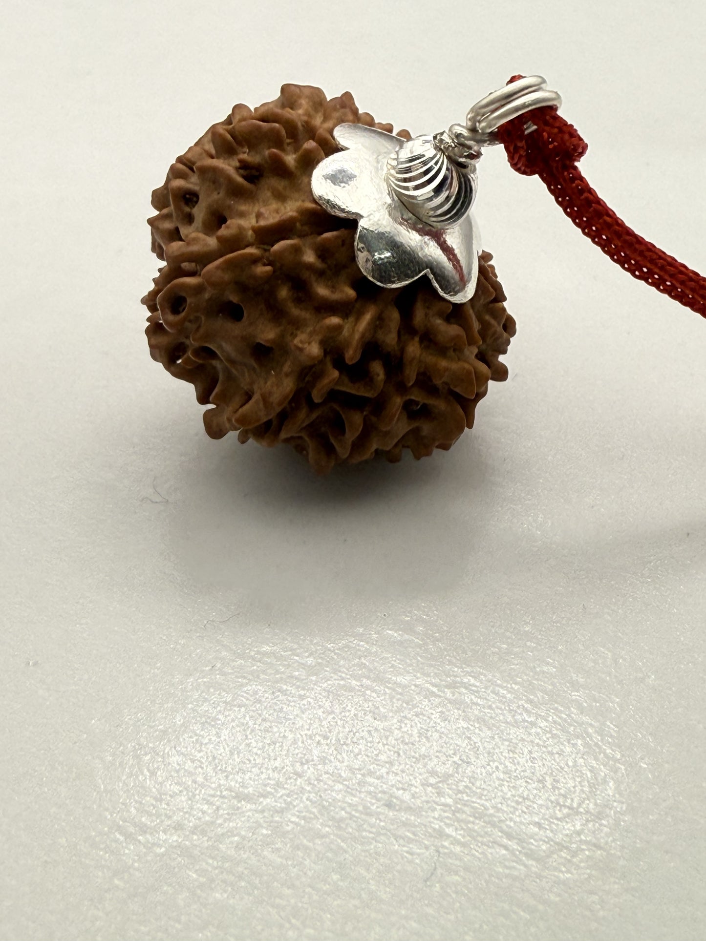 11 Mukhi Natural Rudraksha (Nepal Origin): 18-21mm with Silver Capping