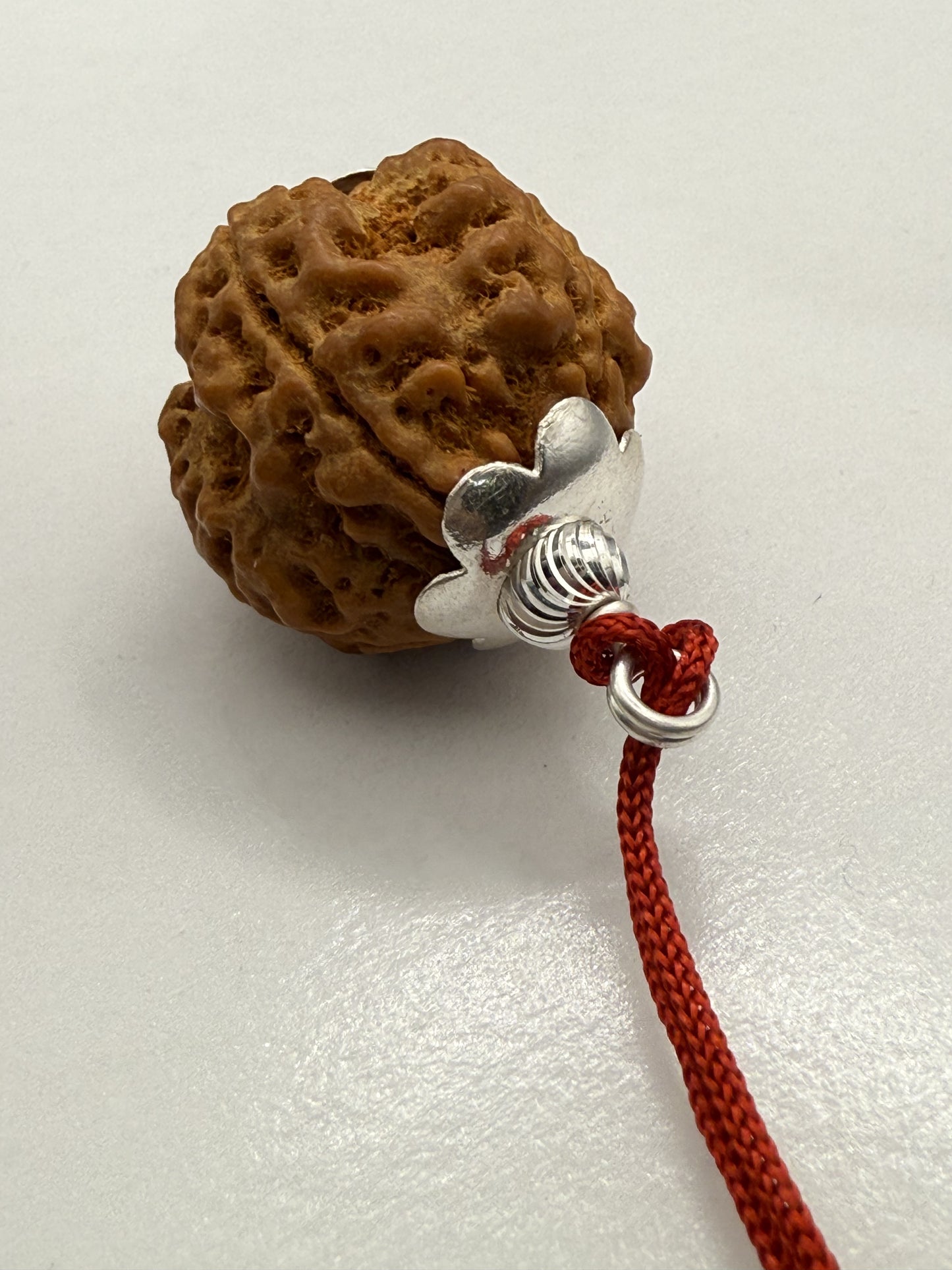 4 Mukhi Natural Rudraksha (Nepal Origin): 18-21mm with Silver Capping