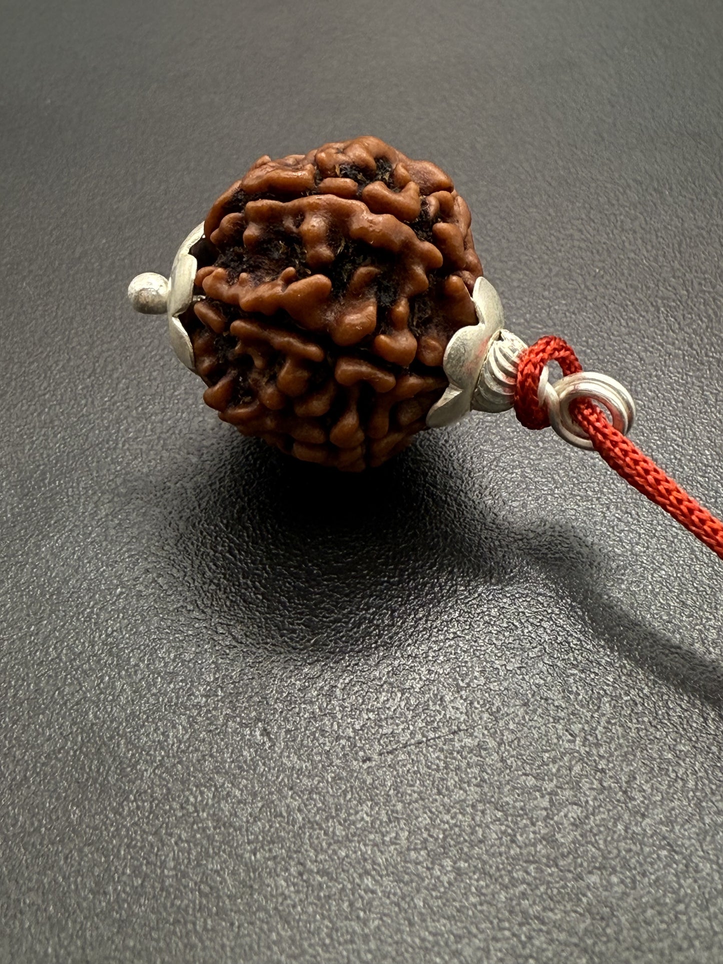 7 Mukhi Natural Rudraksha (Nepal Origin): 18-21mm with Silver Capping