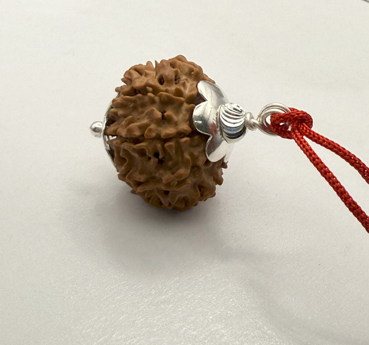 8 Mukhi Natural Rudraksha (Nepal Origin): 18-21mm with Silver Capping