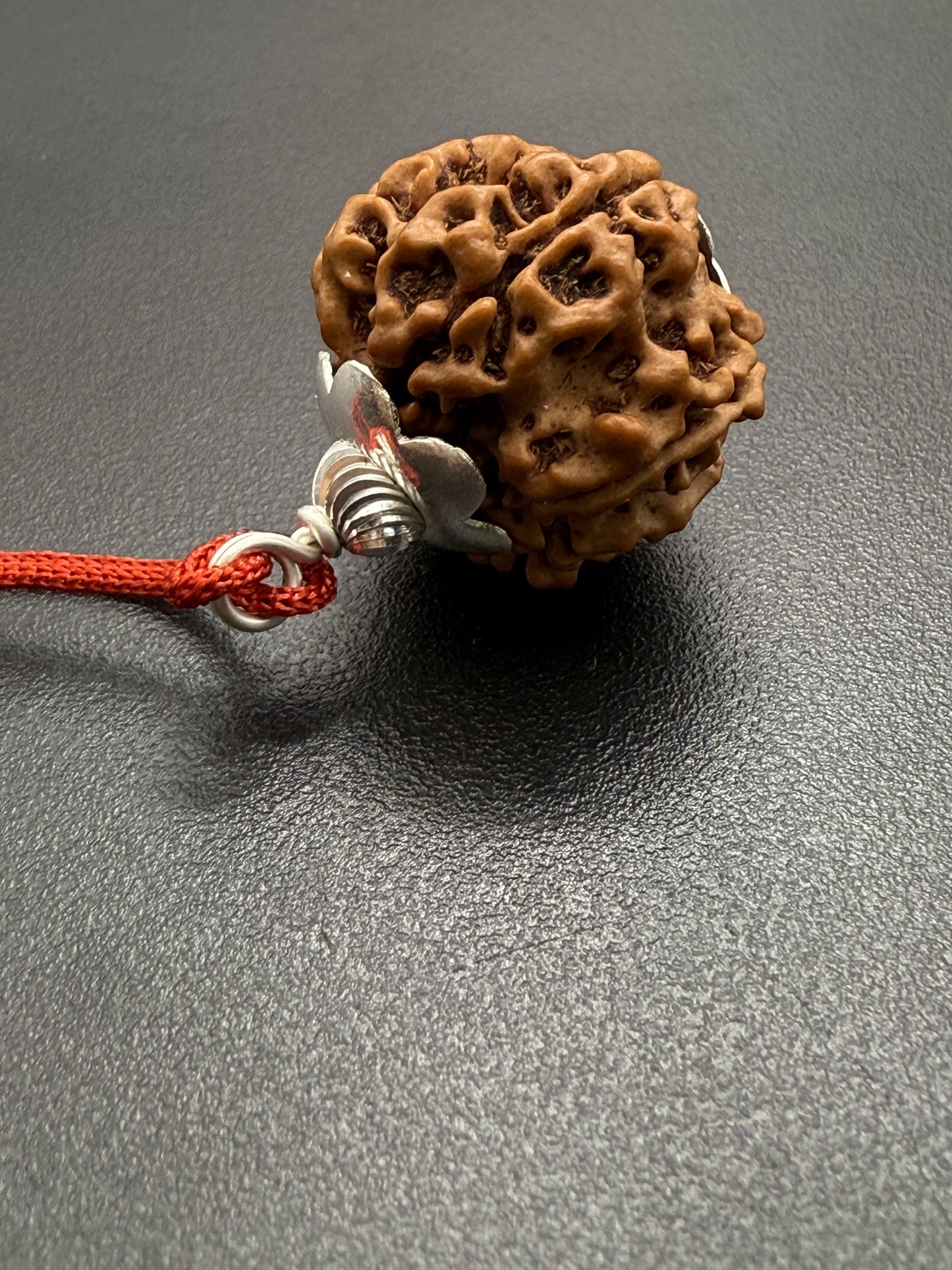 9 Mukhi Natural Rudraksha (Nepal Origin): 18-21mm with Silver Capping