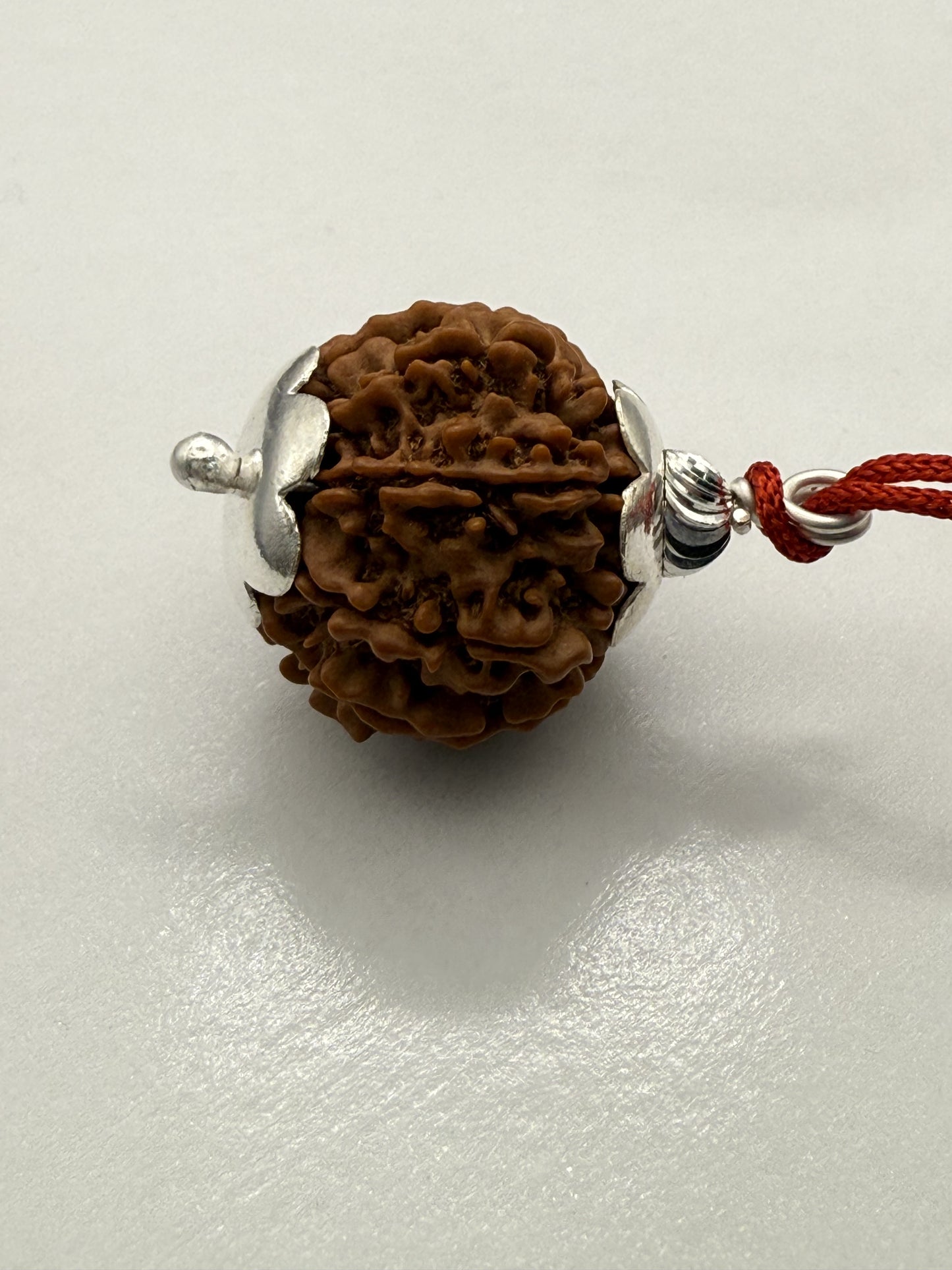 9 Mukhi Natural Rudraksha (Nepal Origin): 18-21mm with Silver Capping
