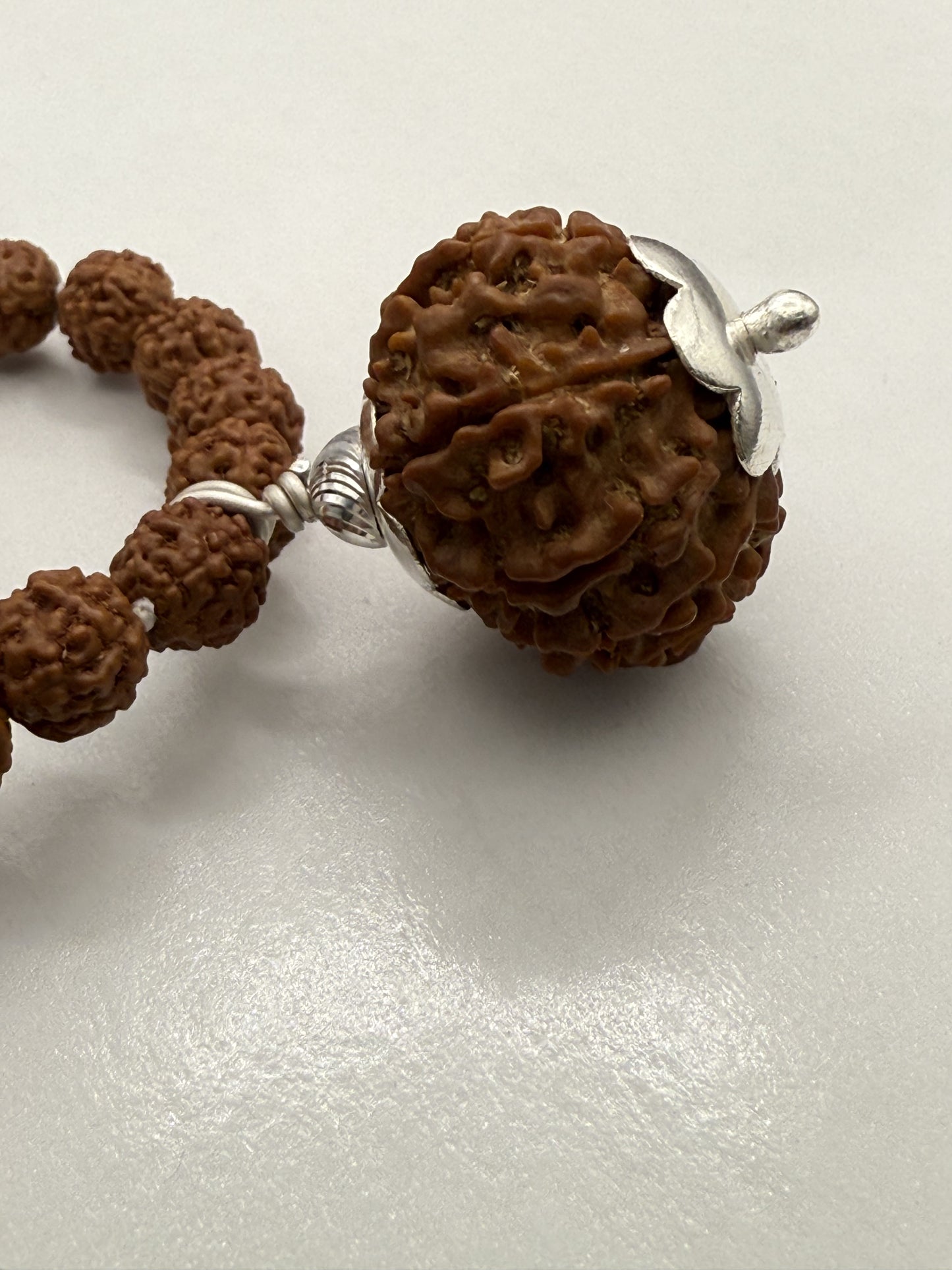 5 Mukhi Rudraksha Mala (108 beads) + Head Bead of 10 Mukhi Nepal Origin Natural Rudraksha