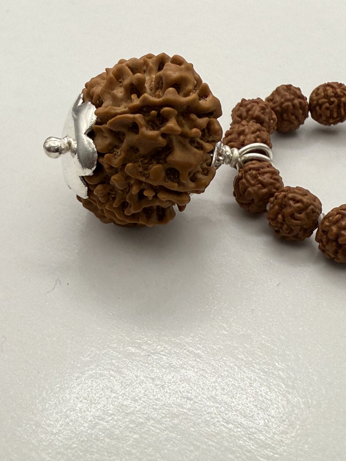 5 Mukhi Rudraksha Mala (108 beads) + Head Bead of 11 Mukhi Nepal Origin Natural Rudraksha