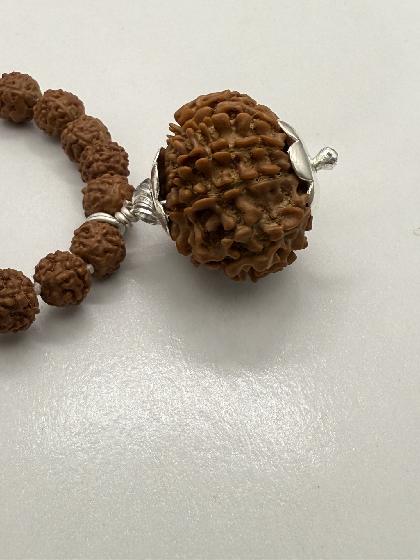 5 Mukhi Rudraksha Mala (108 beads) + Head Bead of 13 Mukhi Nepal Origin Natural Rudraksha