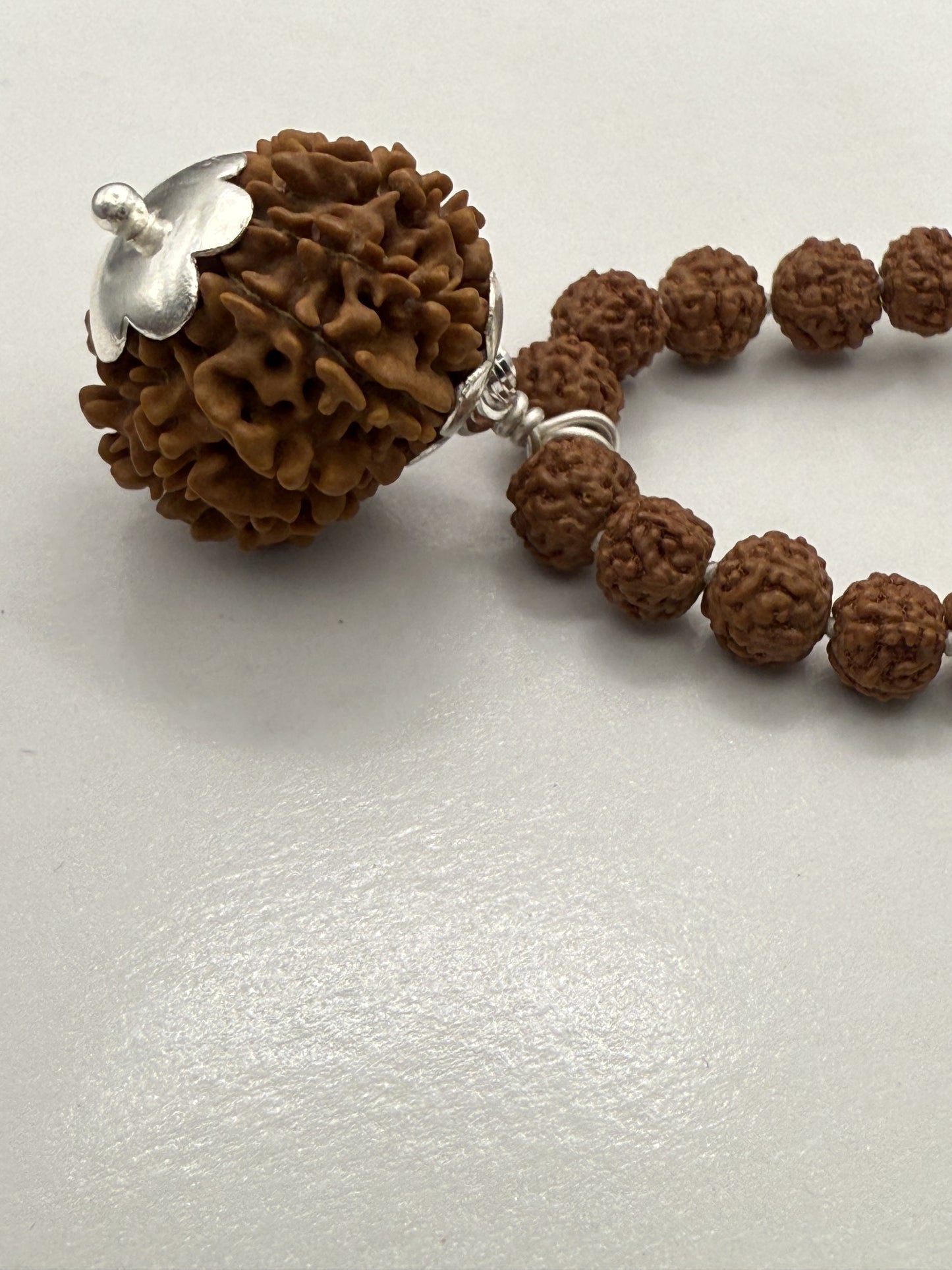 5 Mukhi Rudraksha Mala (108 beads) + Head Bead of 14 Mukhi Nepal Origin Natural Rudraksha
