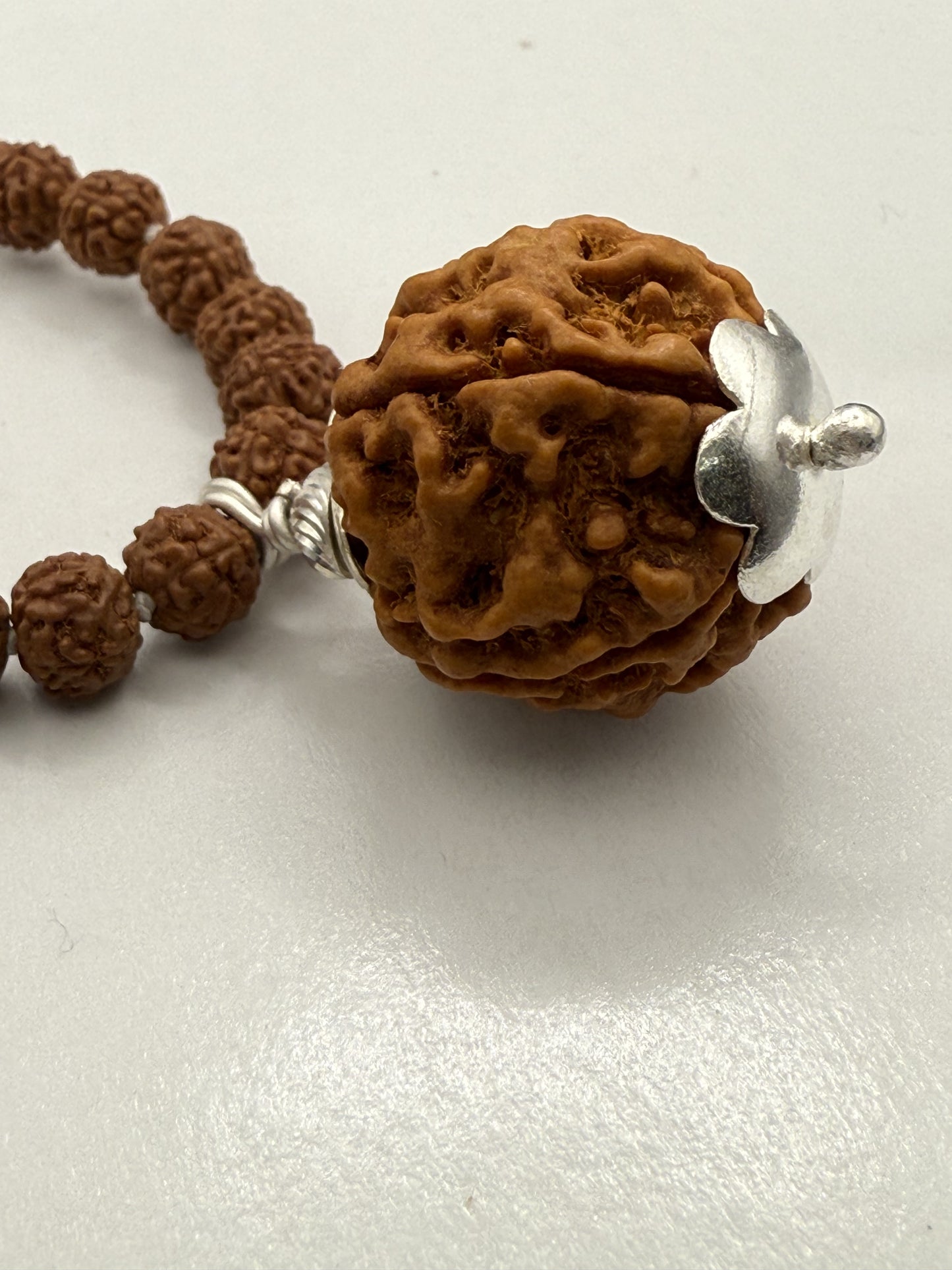 5 Mukhi Rudraksha Mala (108 beads) + Head Bead of 5 Mukhi Nepal Origin Natural Rudraksha
