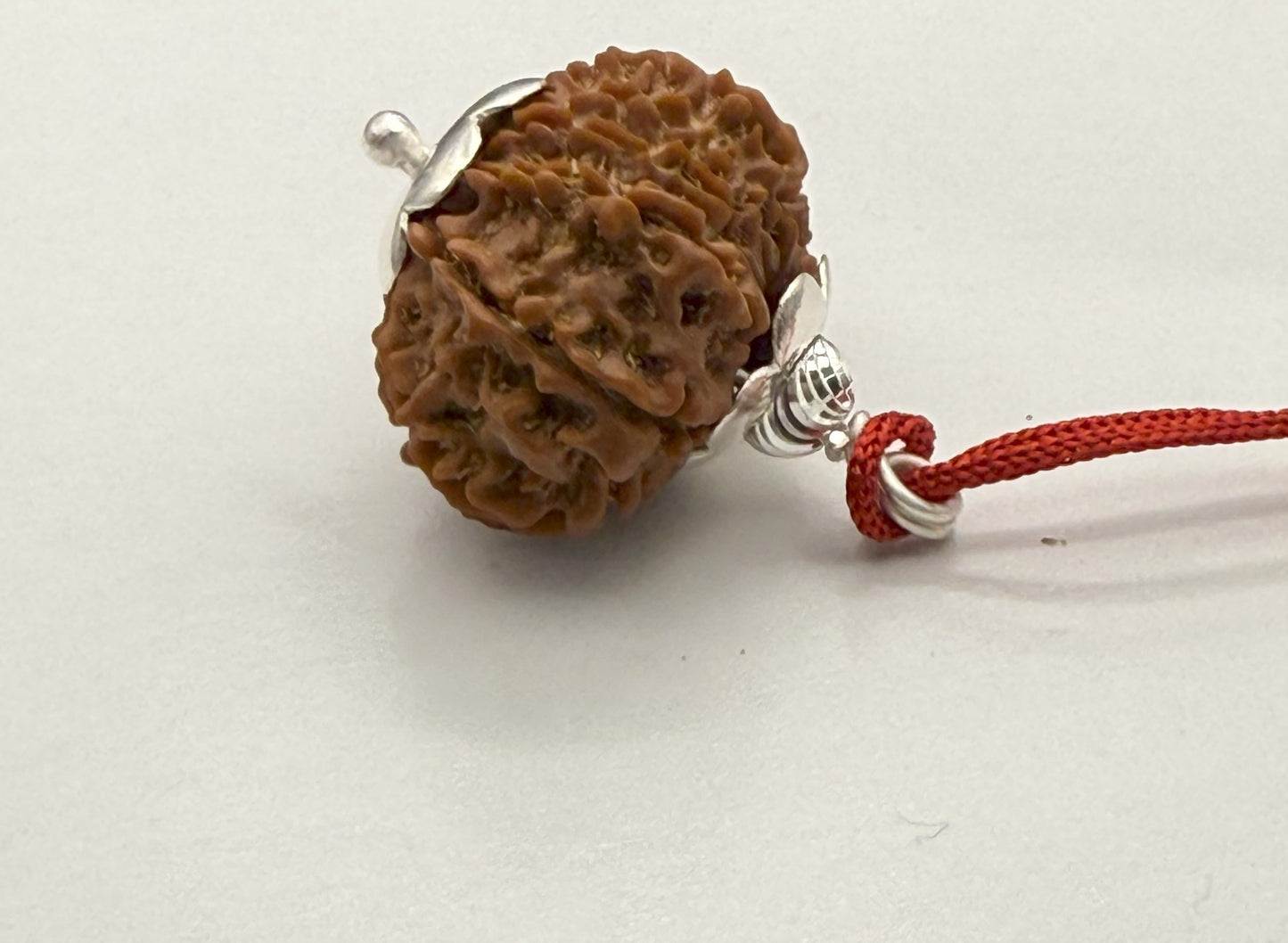 13 Mukhi Natural Rudraksha (Nepal Origin): 18-21mm with Silver Capping