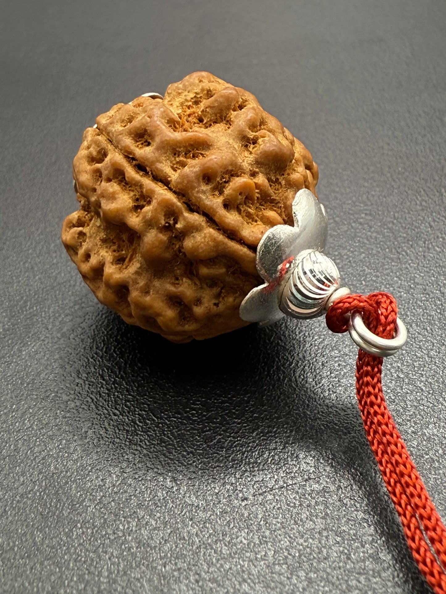 4 Mukhi Natural Rudraksha (Nepal Origin): 18-21mm with Silver Capping
