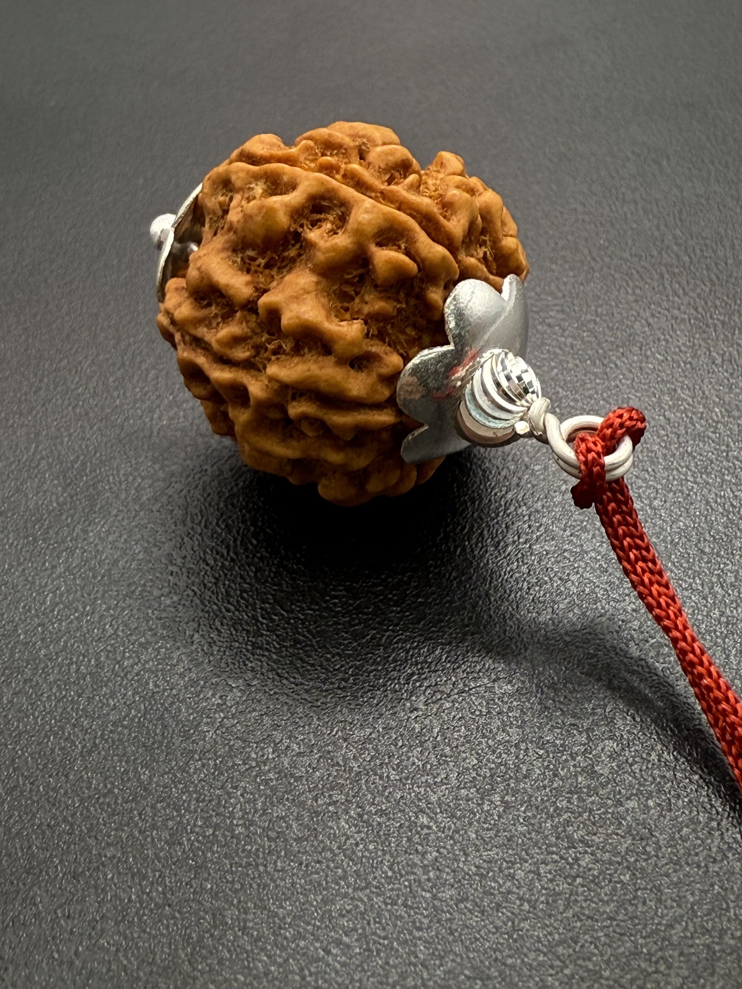 5 Mukhi Natural Rudraksha (Nepal Origin): 18-21mm with Silver Capping
