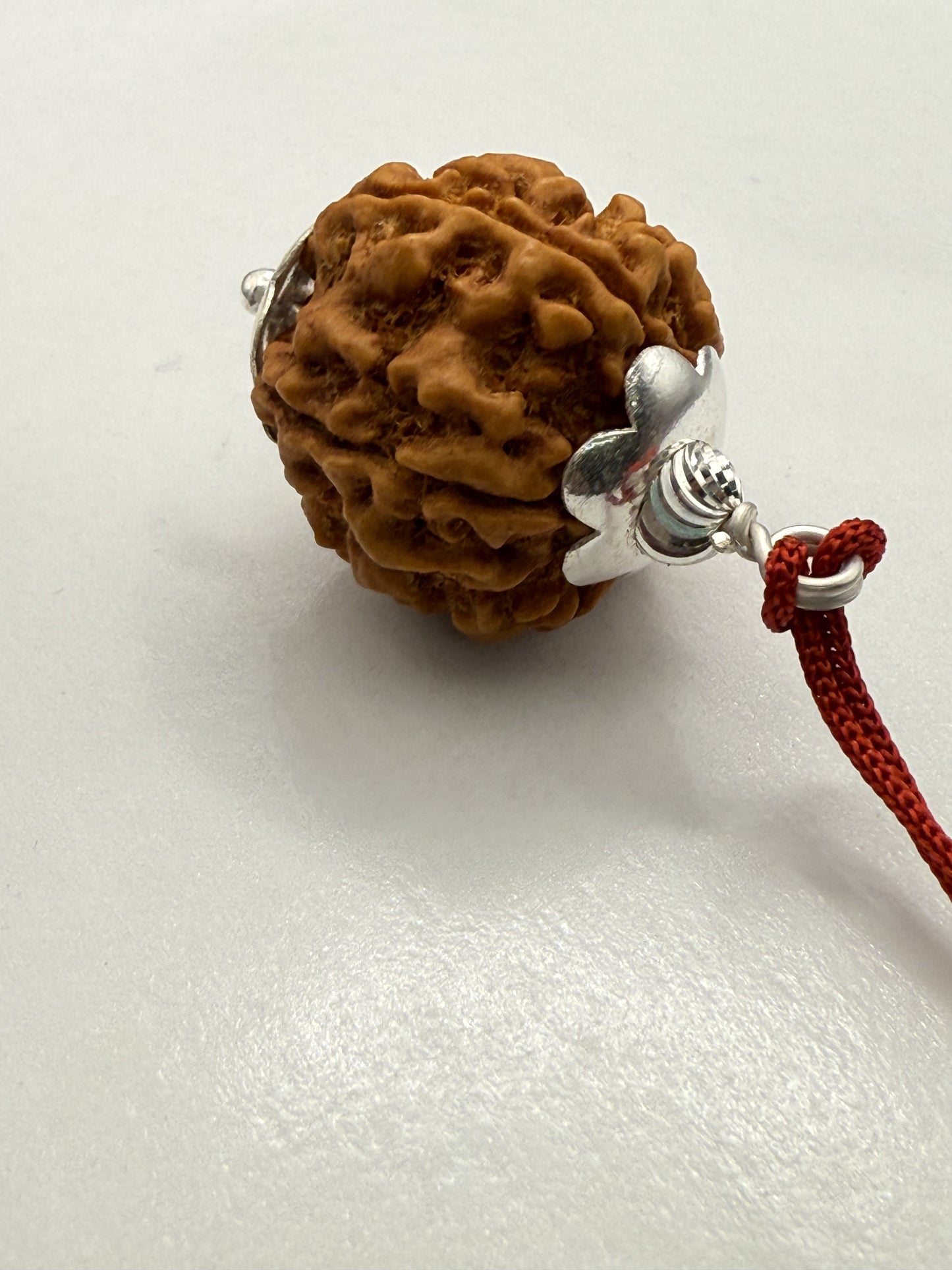 5 Mukhi Natural Rudraksha (Nepal Origin): 18-21mm with Silver Capping