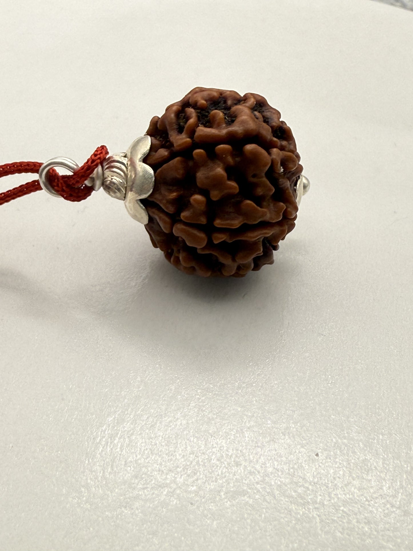 7 Mukhi Natural Rudraksha (Nepal Origin): 18-21mm with Silver Capping