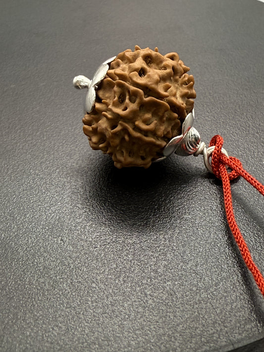 8 Mukhi Natural Rudraksha (Nepal Origin): 18-21mm with Silver Capping