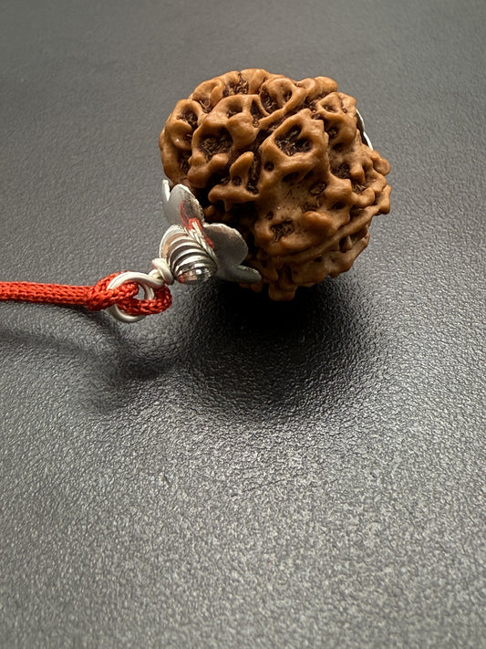 9 Mukhi Natural Rudraksha (Nepal Origin): 18-21mm with Silver Capping