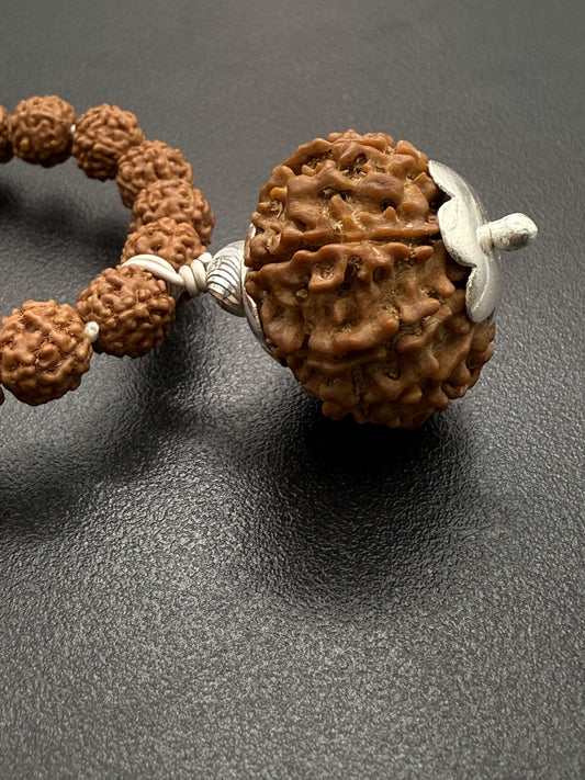 5 Mukhi Rudraksha Mala (108 beads) + Head Bead of 10 Mukhi Nepal Origin Natural Rudraksha