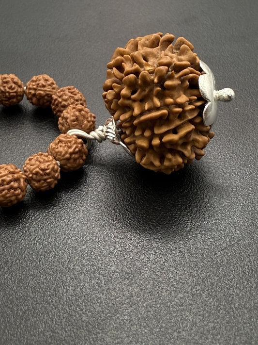 5 Mukhi Rudraksha Mala (108 beads) + Head Bead of 12 Mukhi Nepal Origin Natural Rudraksha