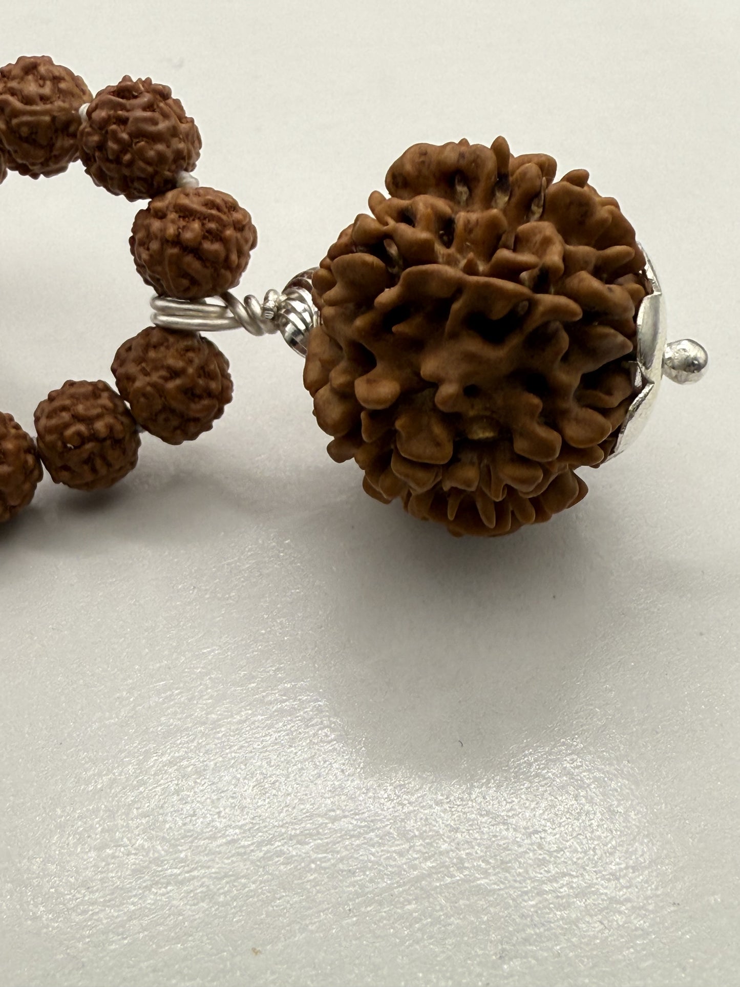 5 Mukhi Rudraksha Mala (108 beads) + Head Bead of 12 Mukhi Nepal Origin Natural Rudraksha