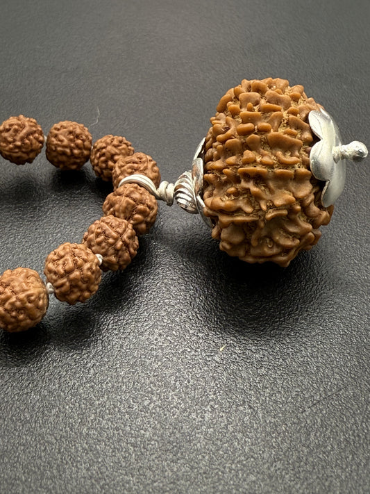5 Mukhi Rudraksha Mala (108 beads) + Head Bead of 13 Mukhi Nepal Origin Natural Rudraksha