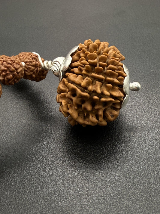 5 Mukhi Rudraksha Mala (108 beads) + Head Bead of 14 Mukhi Nepal Origin Natural Rudraksha