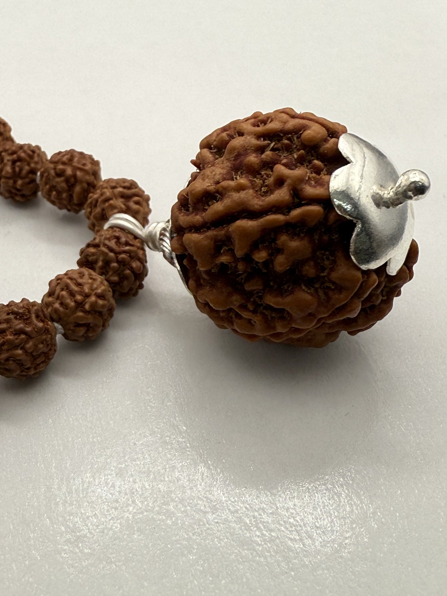 5 Mukhi Rudraksha Mala (108 beads) + Head Bead of 6 Mukhi Nepal Origin Natural Rudraksha