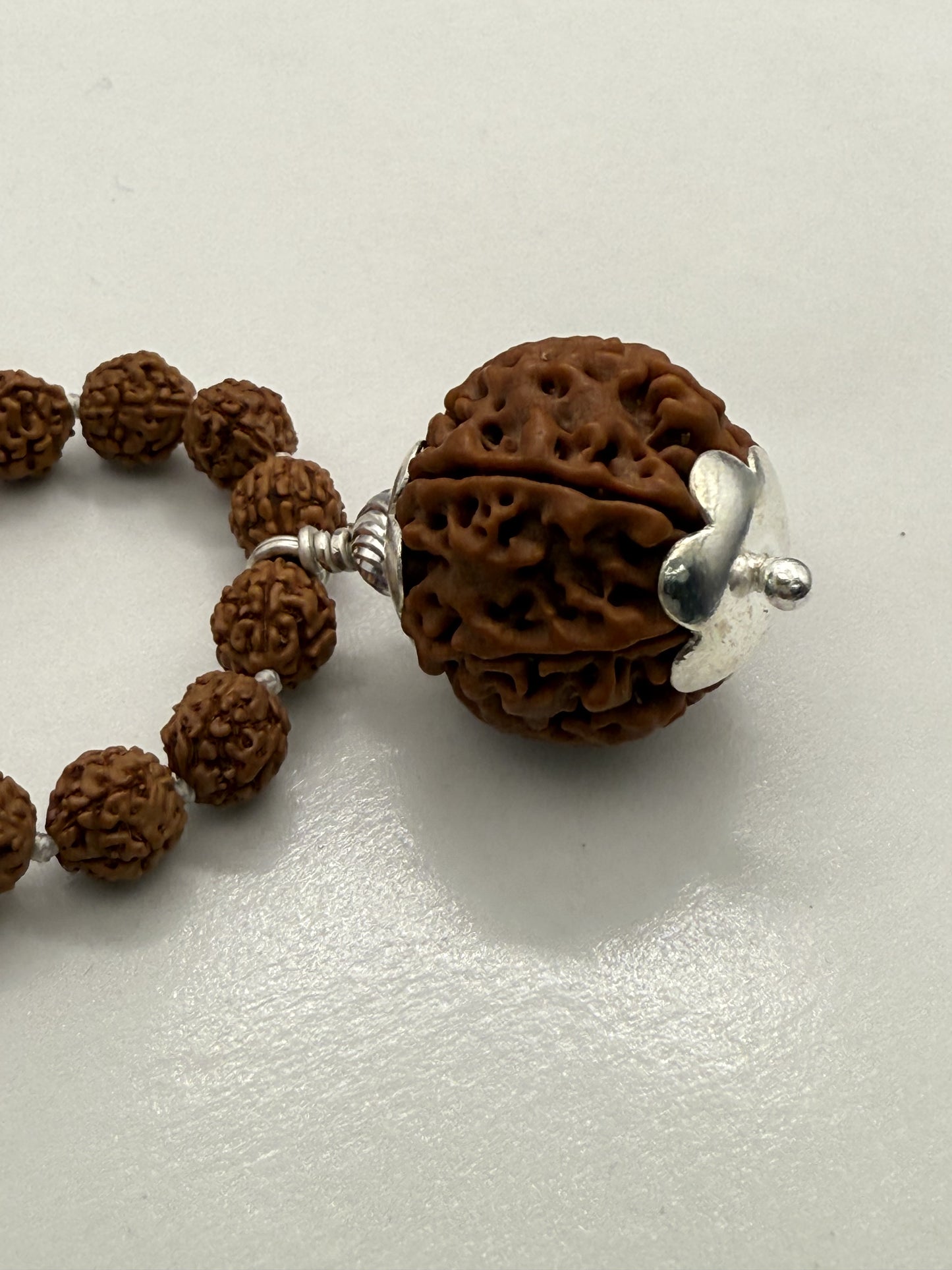 5 Mukhi Rudraksha Mala (108 beads) + Head Bead of 7 Mukhi Nepal Origin Natural Rudraksha