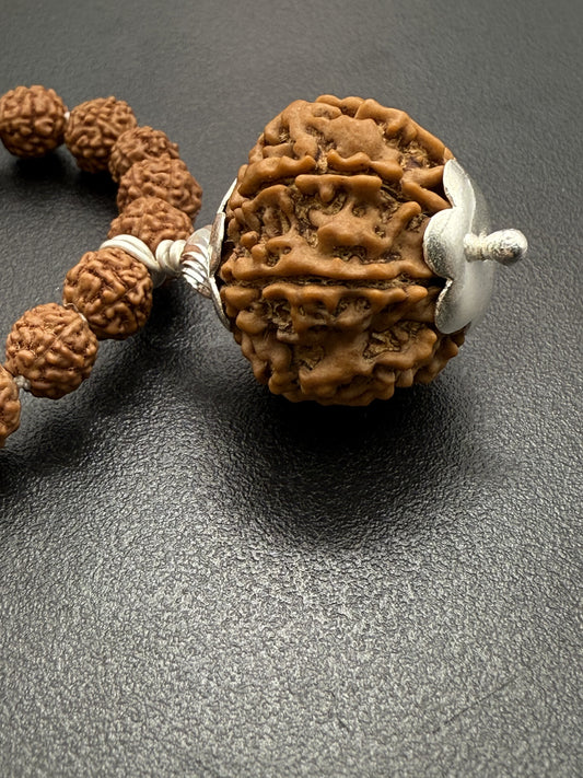 5 Mukhi Rudraksha Mala (108 beads) + Head Bead of 8 Mukhi Nepal Origin Natural Rudraksha