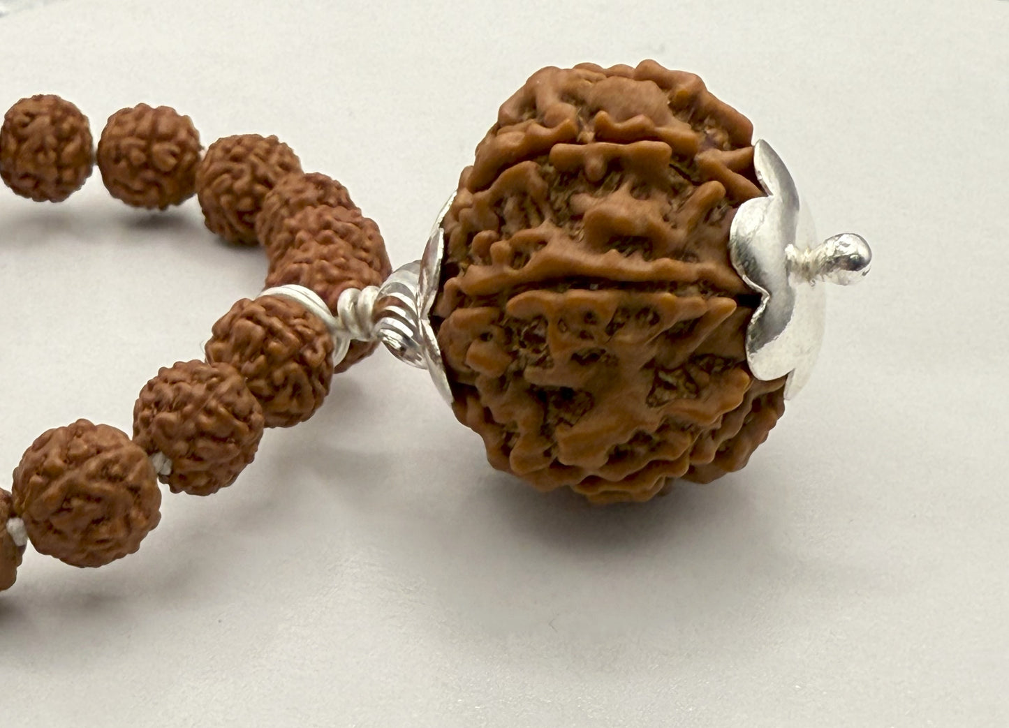 5 Mukhi Rudraksha Mala (108 beads) + Head Bead of 8 Mukhi Nepal Origin Natural Rudraksha