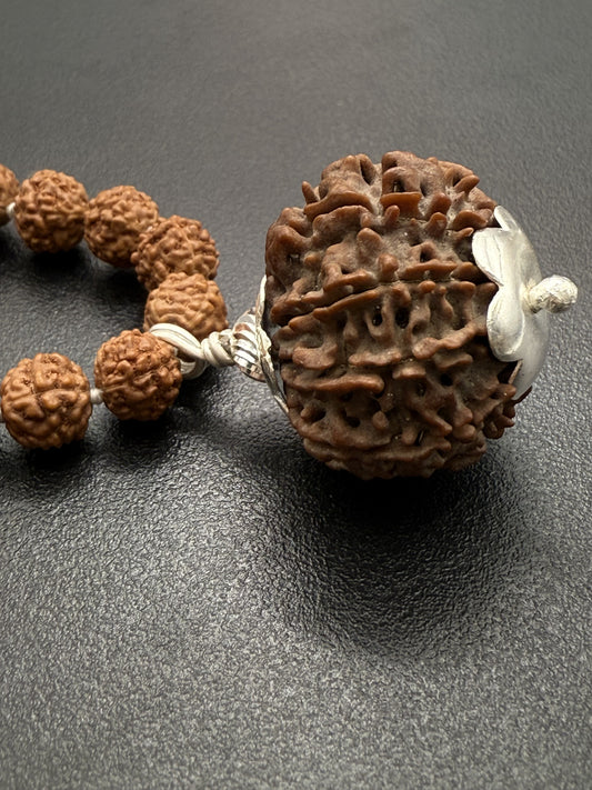 5 Mukhi Rudraksha Mala (108 beads) + Head Bead of 9 Mukhi Nepal Origin Natural Rudraksha