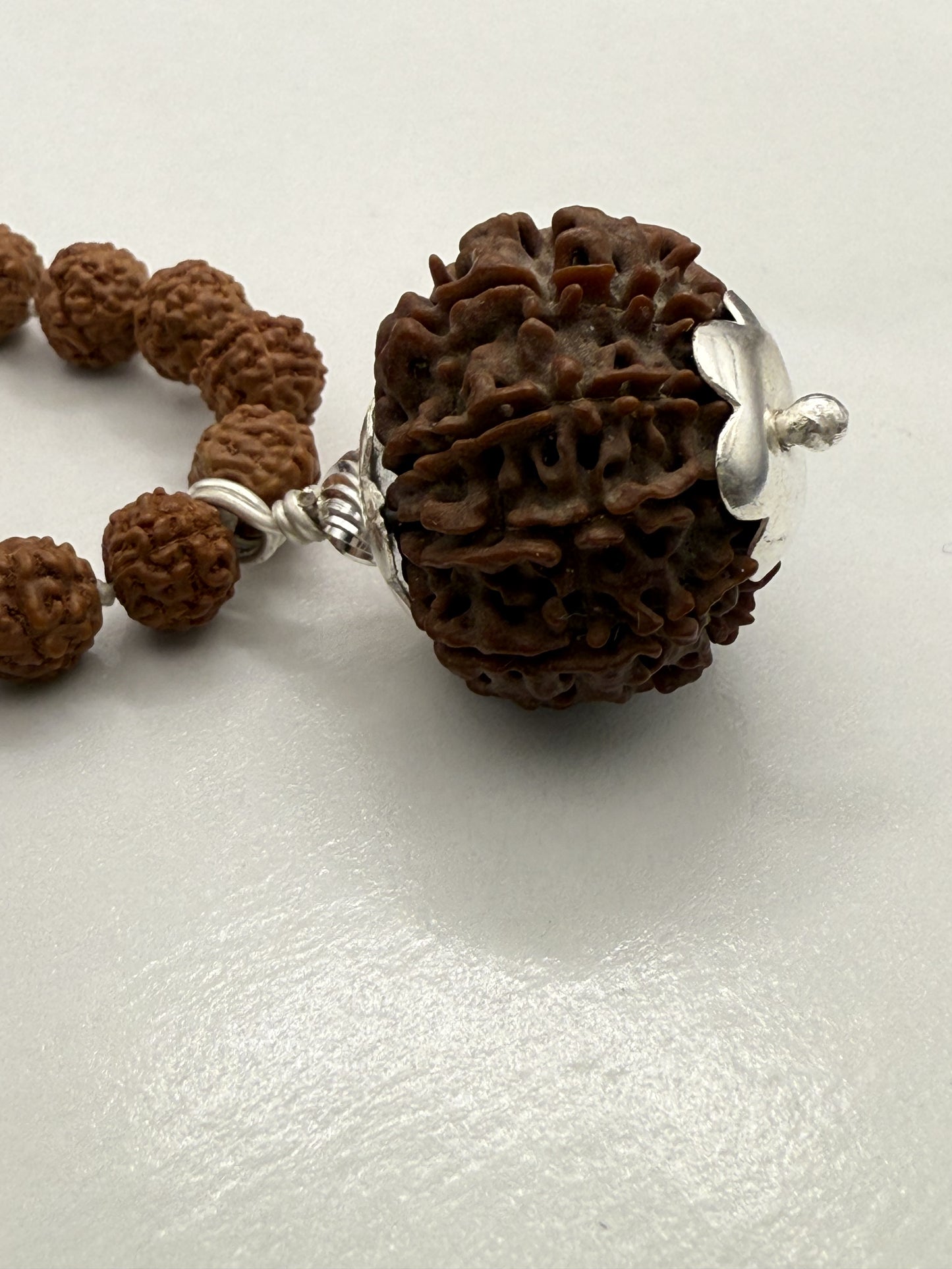 5 Mukhi Rudraksha Mala (108 beads) + Head Bead of 9 Mukhi Nepal Origin Natural Rudraksha