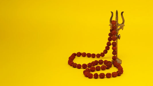 Know your Rudraksha - Email Consultation